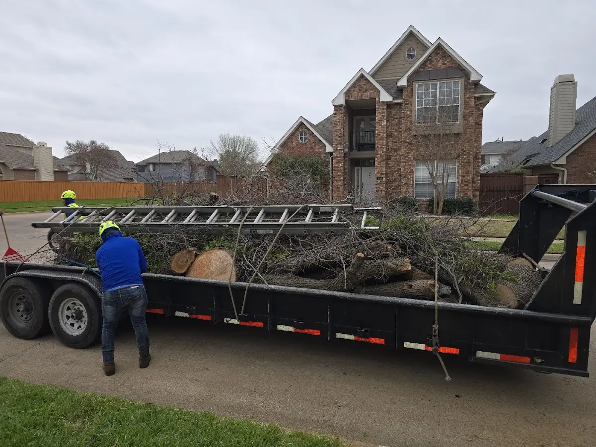 Expert Tree Fertilization with proper safety equipment in Prairie Home